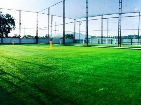 Let's Play Box Cricket